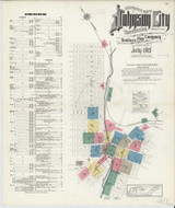 Johnson City Tennessee 1913 - Fire Insurance Index - Old Map Reprint