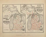 Congressional & Judicial Districts 141, Michigan 1873 Old Map Reprint - Walling State Atlas