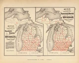 Senatorial & Representative Districts 142, Michigan 1873 Old Map Reprint - Walling State Atlas