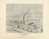 The Plant of the Serling Co. 102A, Connecticut 1893 Old Map Reprint - Hurd State Atlas