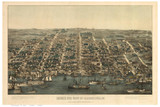 Alexandria, Virginia 1863 Bird's Eye View