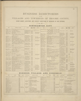Business Directories - Binghamton, Windsor, New York 1876 - Old Town Map Reprint - Broome Co. Atlas 113