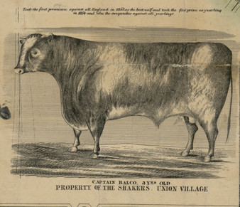 Union Village Shaker Prize Bull - Warren Co., Ohio 1856 Old Town Map Custom Print - Warren Co.