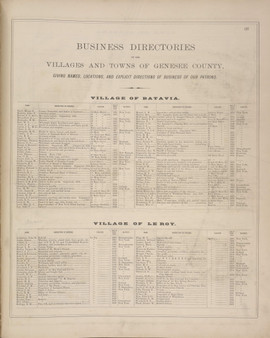 Business Directories #137 - New York 1876 - Old Town Map Reprint - Genesee Co. Atlas
