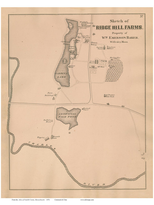 Ridge Hill Farms - Needha,, Massachusetts 1876 Old Town Map Reprint - Norfolk Co.