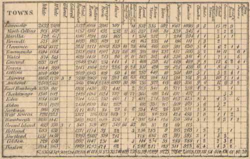 Town Statistics, New York 1855 Old Town Map Custom Print - Erie Co.