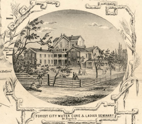 Forest City Water Cure & Ladies Seminary, New York 1853 Old Town Map Custom Print - Tompkins Co.