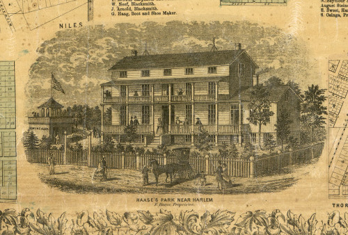 Hasse's Park, Near Harlem - Cook Co., Illinois 1861 Old Town Map Custom Print - Cook Co.