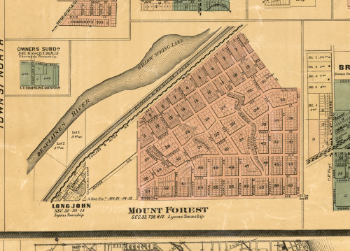 Mt Forest - Cook Co., Illinois 1886 Old Town Map Custom Print - Cook Co.