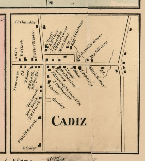 Cadiz Village, New York 1856 Old Town Map Custom Print - Cattaraugus Co.