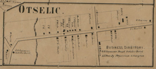Otselic Village, New York 1863 Old Town Map Custom Print - Chenango Co.