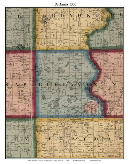 Buchanan, Michigan 1860 Old Town Map Custom Print - Berrien Co.