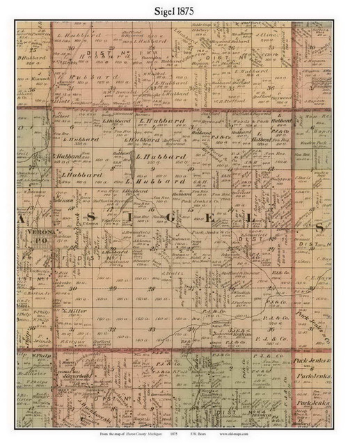 Sigel, Michigan 1875 Old Town Map Custom Print - Huron Co.