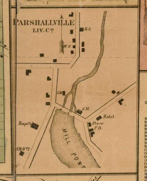 Parshallville, Michigan 1859 Old Town Map Custom Print - Livingston Co.