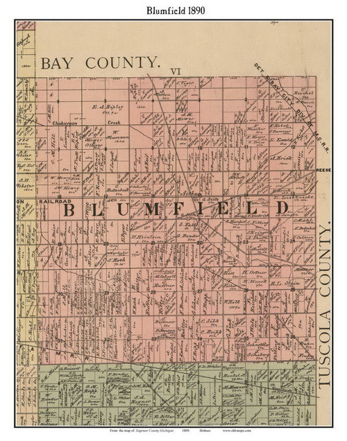 Blumfield Michigan 1890 Old Town Map Custom Print - Saginaw Co.