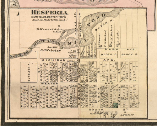 Hesperia Village, Newfield, Michigan 1876 Old Town Map Custom Print - Oceana Co.