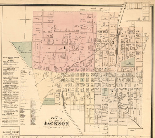 Jackson Village, District 15, Tennessee 1877 Old Town Map Custom Print Madison Co.