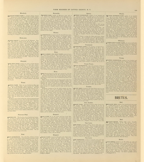 Farm Records  - Harvest Home - Cold Spring, New York 1904 - Old Town Map Reprint - Cayuga Co. Atlas 131