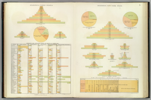 New York State Statistics New York 1895 - Other Maps Old Map Custom Reprint - Bien State Atlas