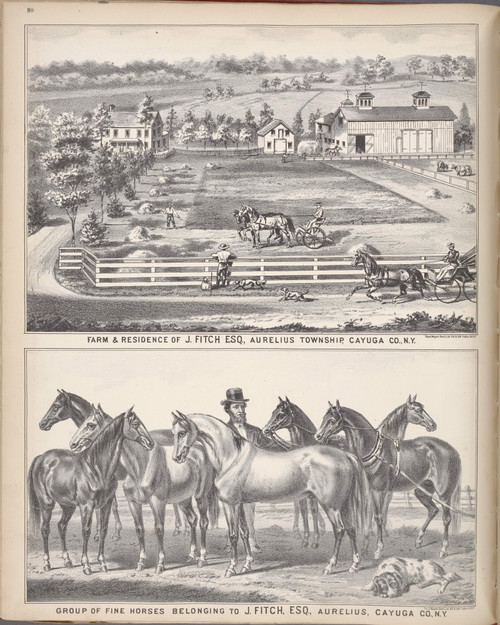 Aurelius - J. Fitch, Esq. Farm & Res. , New York 1875 - Old Town Map Reprint - Cayuga Co. Atlas 80