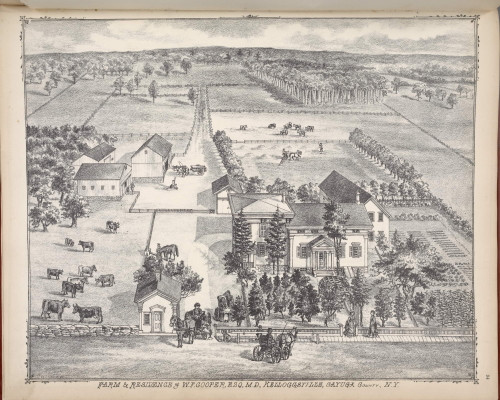 Kelloggsville - W.F. Cooper Farm & Residence, New York 1875 - Old Town Map Reprint - Cayuga Co. Atlas 94