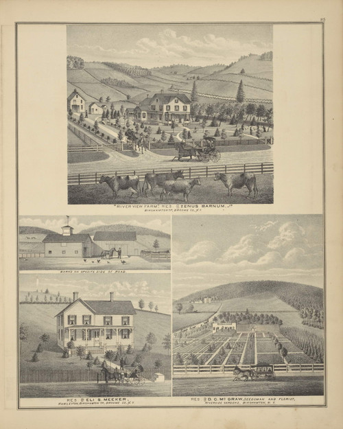 Residences of Zenus Barnum, Eli S. Meeker, and D.C. McGraw, New York 1876 - Old Town Map Reprint - Broome Co. Atlas 85