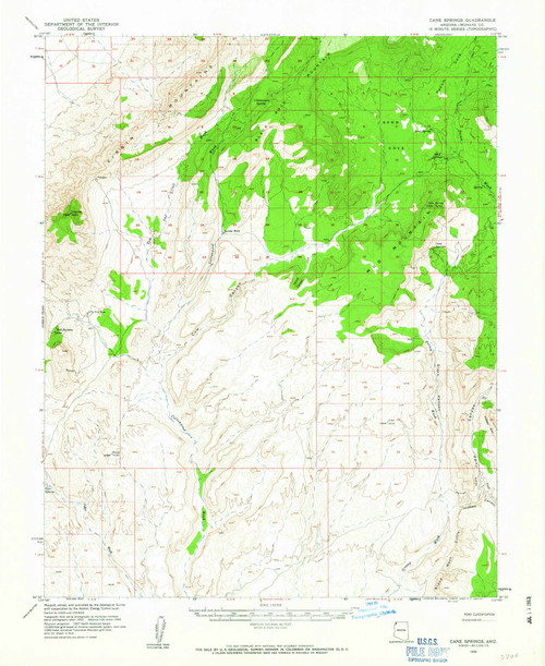 Cane Springs, Arizona 1954 (1963) USGS Old Topo Map Reprint 15x15 AZ Quad 314451