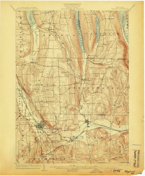 Wayland, NY 1904 (1904) USGS Old Topo Map 15x15 NY Quad