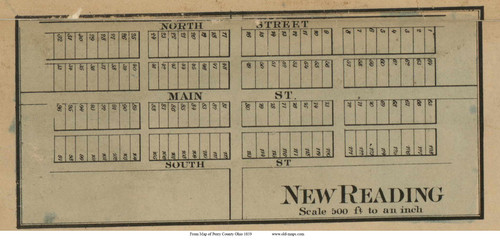 Nes Reading - Reading, Ohio 1859 Old Town Map Custom Print - Perry Co.