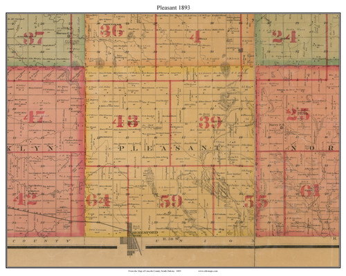 Pleasant, South Dakota 1893 Old Town Map Custom Print - Lincoln Co.