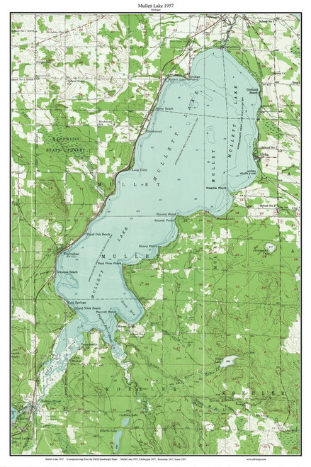 Mullett/Mullet Lake 1957 - Custom USGS Old Topo Map - Michigan 2