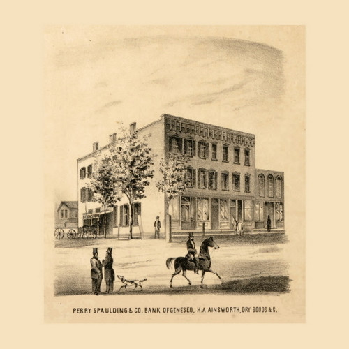 Bookstore, Bank and Dry Goods Illinois 1860 - Old Town Map Custom Print - Henry Co.