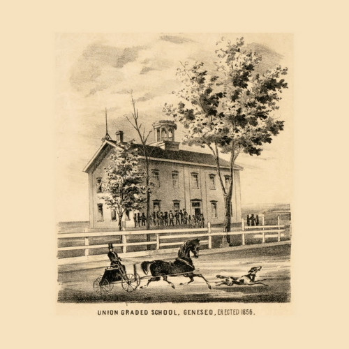 Union Graded School Illinois 1860 - Old Town Map Custom Print - Henry Co.