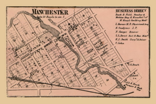 Manchester Village, Michigan 1864 Old Town Map Custom Print - Washtenaw Co