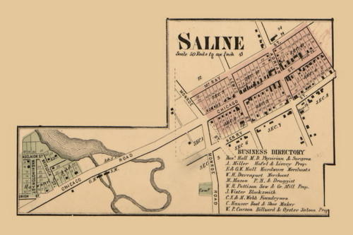 Saline Village, Michigan 1864 Old Town Map Custom Print - Washtenaw Co