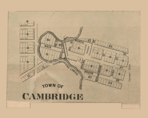 Cambridge Village, Christiana, Wisconsin 1861 Old Town Map Custom Print - Dane Co