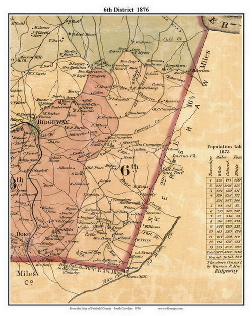 6th District, South Carolina 1876 Old Town Map Custom Print - Fairfield Co.