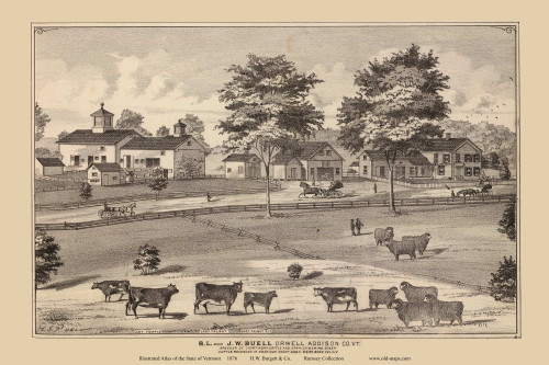 B. L.  & J. W. Buell, Orwell 1876- from the Burgett & Co Vermont State Atlas - Old Map Reprint 28b