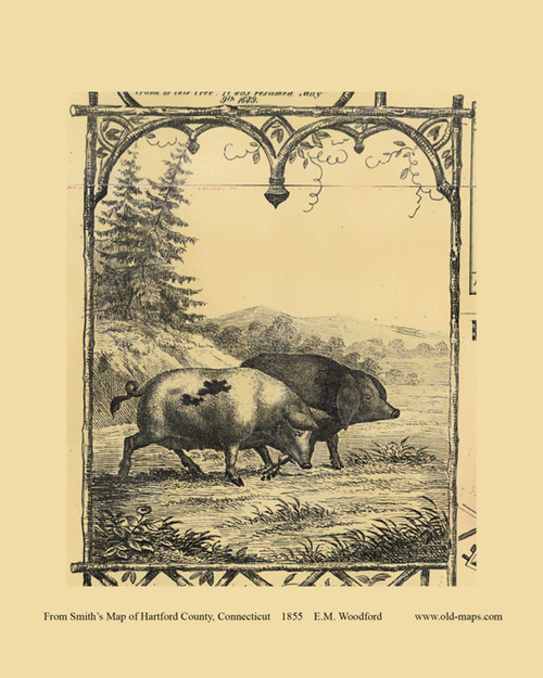Pigs Picture - Connecticut 1855 Old Town Map Custom Print - Hartford Co.