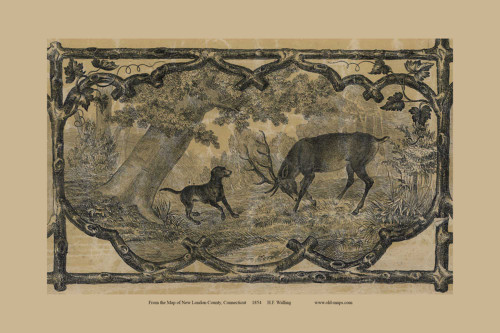 Deer -  Connecticut 1854 Old Town Map Custom Print - New London Co.