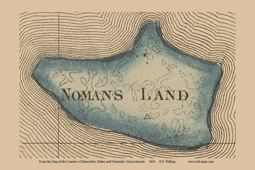 Nomans Land (Novelty Excerpt) - Massachusetts 1858 Old Town Map Custom Print - Dukes Co.