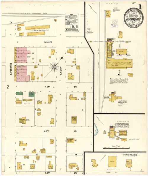 Blooming Grove Texas 1905 - Fire Insurance Index - Old Map Reprint