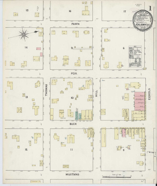 Caldwell Texas 1891 - Fire Insurance Index - Old Map Reprint