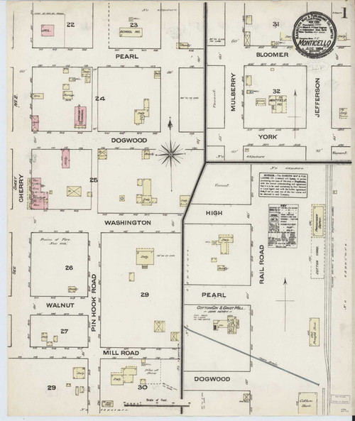 Monticello Florida 1884 - Fire Insurance Index - Old Map Reprint