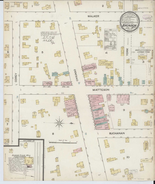 Bronson Michigan 1887 - Fire Insurance Index - Old Map Reprint