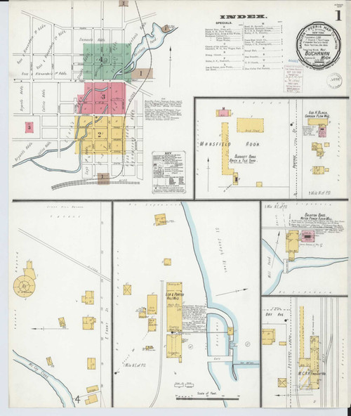 Buchanan Michigan 1900 - Fire Insurance Index - Old Map Reprint