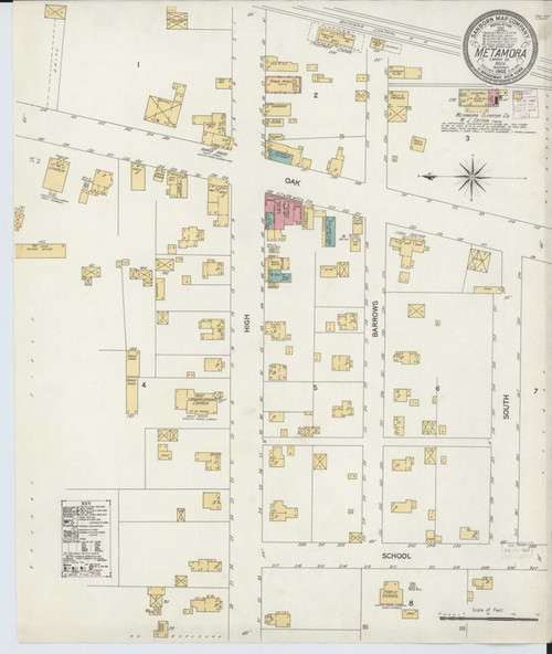 Metamora Michigan 1902 - Fire Insurance Index - Old Map Reprint