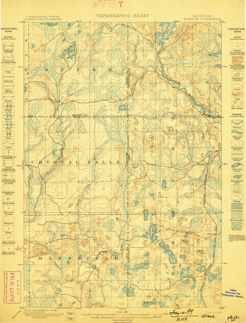 Witbeck, Michigan 1899 (1899) USGS Old Topo Map Reprint 15x15 MI Quad 278599