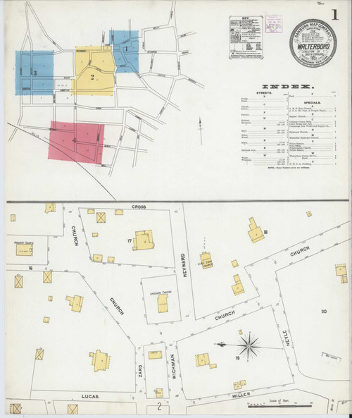 Walterboro South Carolina 1905 - Fire Insurance Index - Old Map Reprint