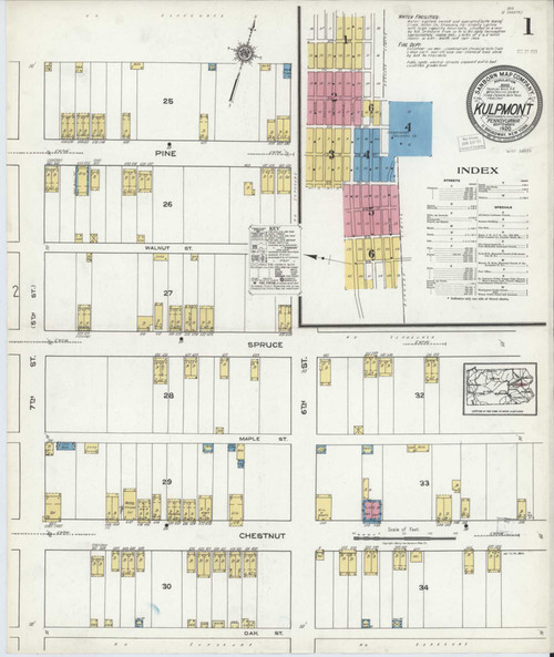 Kulpmont Pennsylvania 1920 - Fire Insurance Index - Old Map Reprint